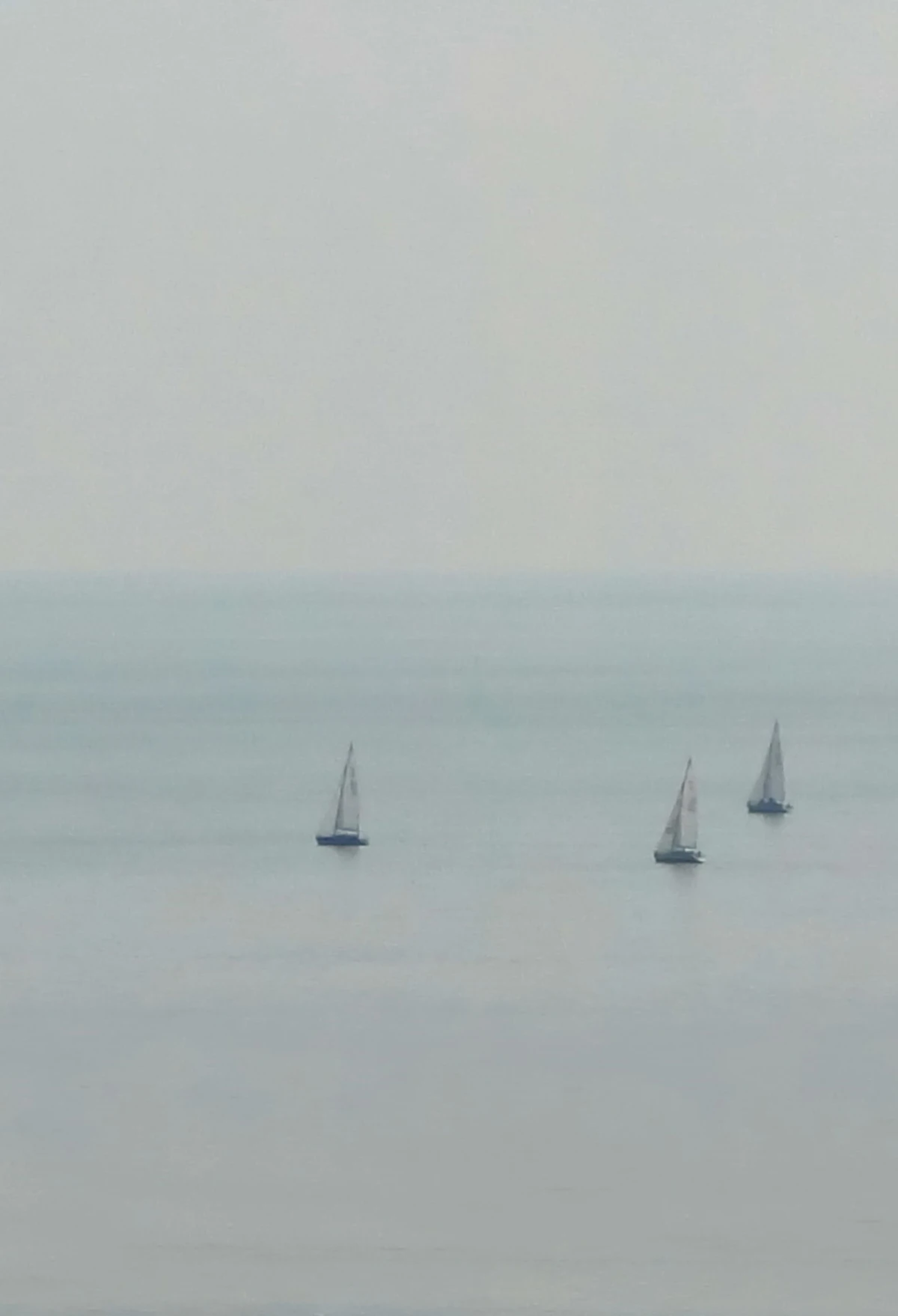 Kuva Shutterstock. Tekijä SariMe